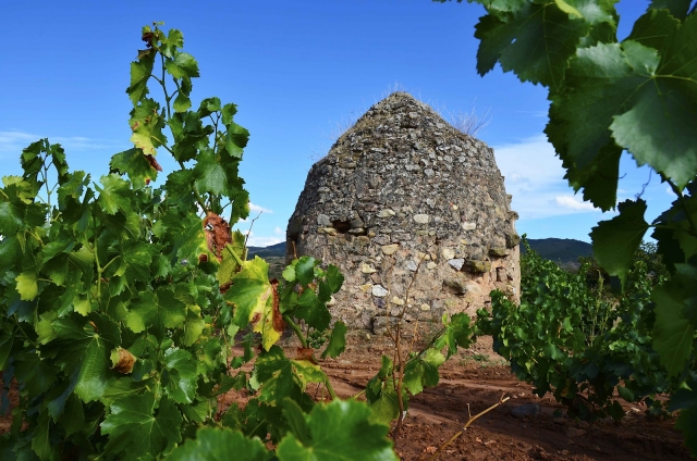 el vino a lo largo de la historia