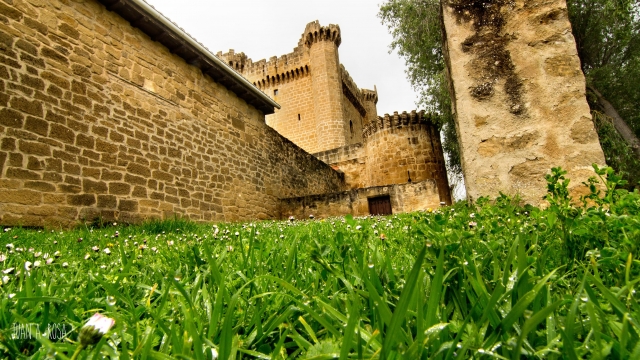 sajazarra