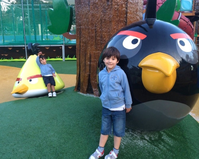 Ven a jugar con los angry birds