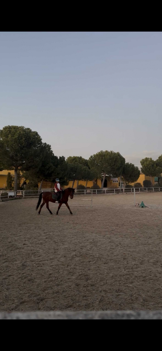 Opinión de Manuel sobre Clase de equitación en Madrid 1 hora