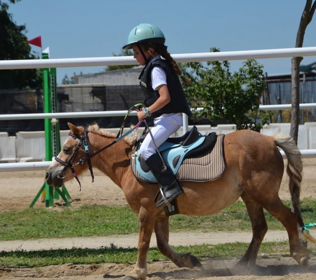  Little one riding a horse 