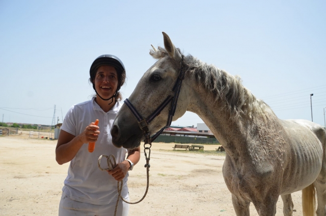  Giving the horse a treat
