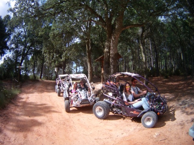 Excursiones 
