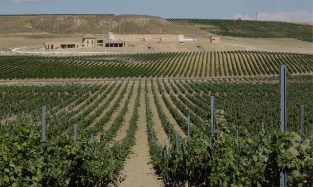 Bodega de Olite