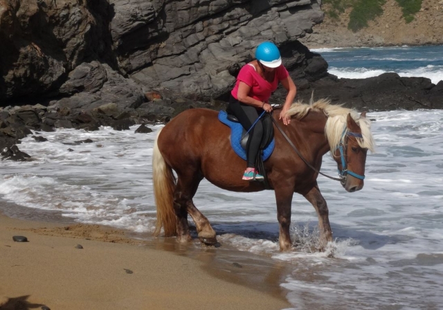 Amazona en la costa balear