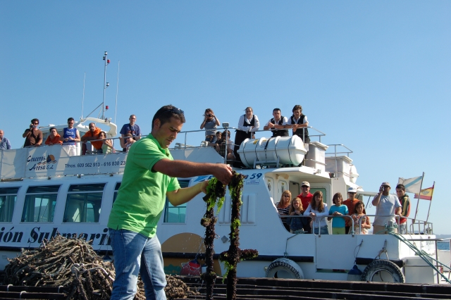 Criada de mejillones