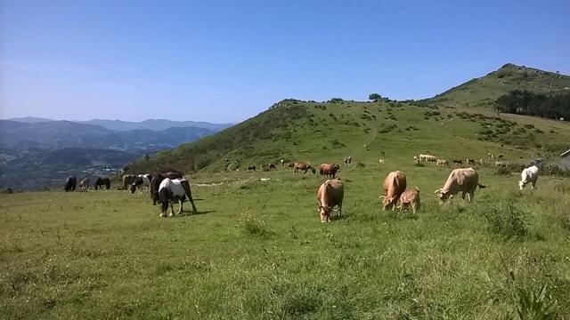 Descubre la naturaleza