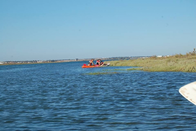  Touring the Marshes 