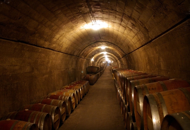  Wine tourism 