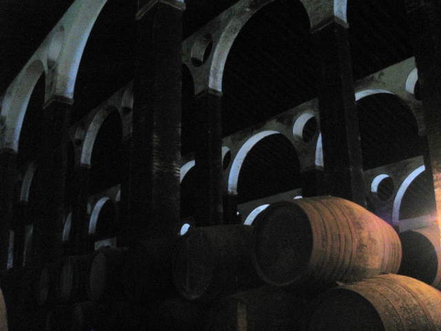  Bodegas de El Condado 