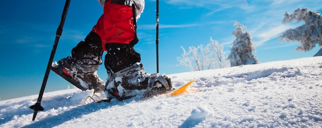 Raquetas de Nieve