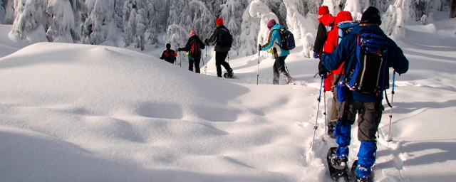 Raquetas de Nieve