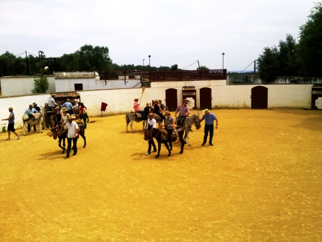  Andalusian workshops 