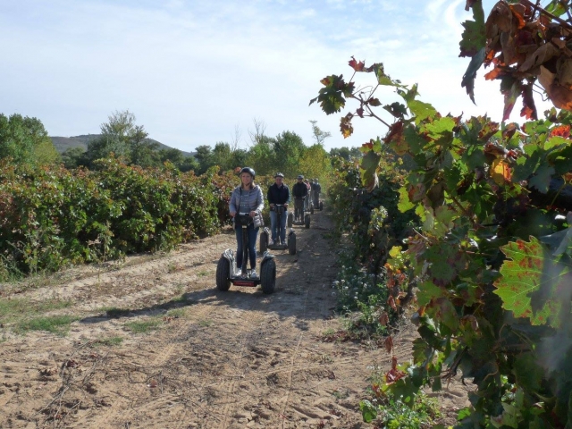  Discover La Rioja
