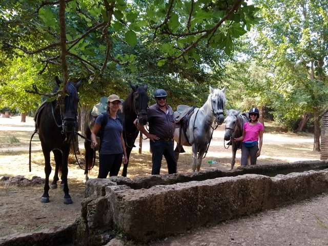 Pose avec les chevaux 