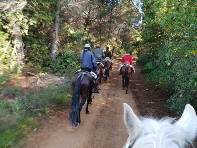  Promenade à cheval à travers les champs