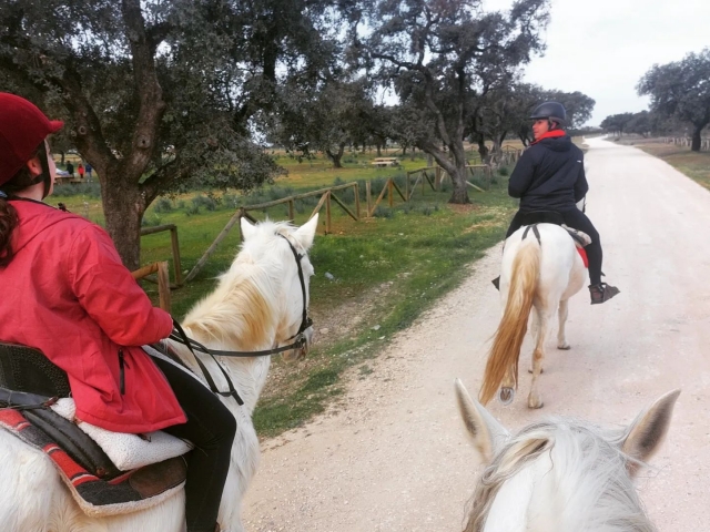  Journée en famille à cheval 