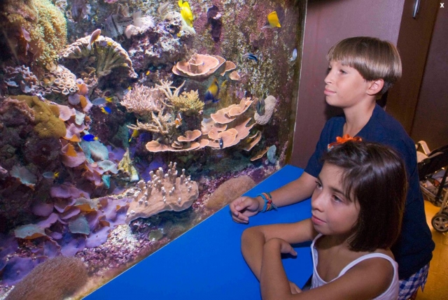  Il nostro acquario 