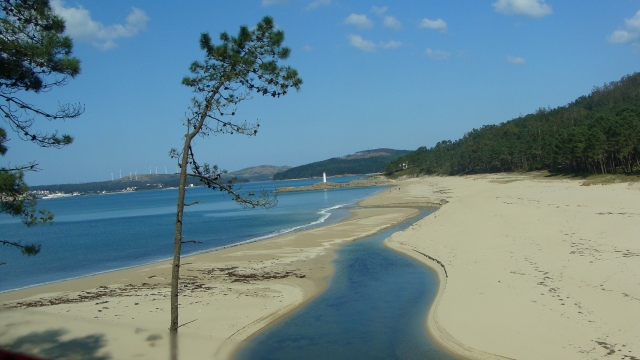 Visite guidate lungo la costa 