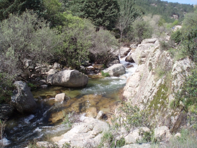  Fiume Manzanares a La Pedriza 