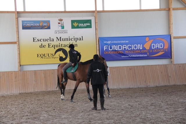 Monitores especializados