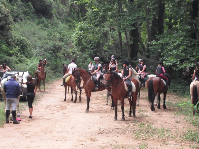 Excursiones en la naturaleza
