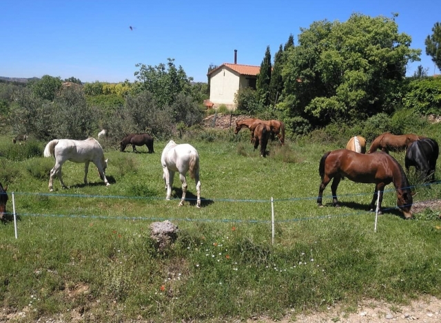  Godersi la natura della regione di Tarazona