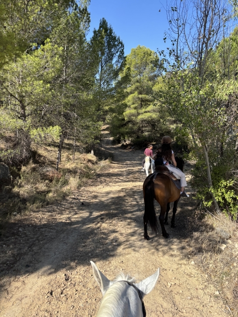 Opinión de Devora sobre Ruta a caballo de Sierra de Sax a Castalla 2h