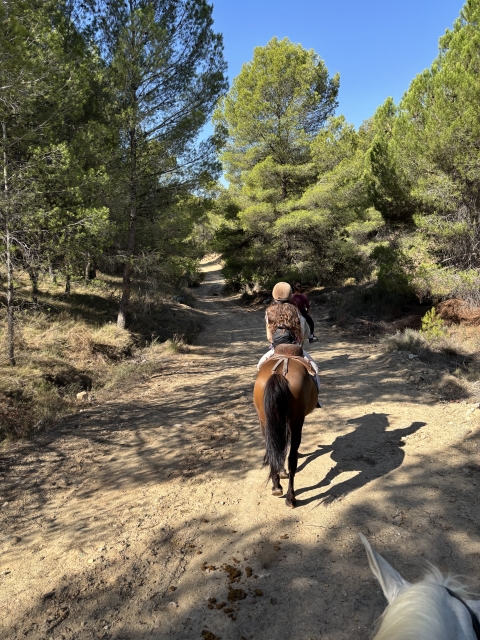 意见 Alejandro 关于 从萨克斯山脉 (Sierra de Sax) 到卡斯塔利亚 (Castalla) 的骑马路线 2 小时