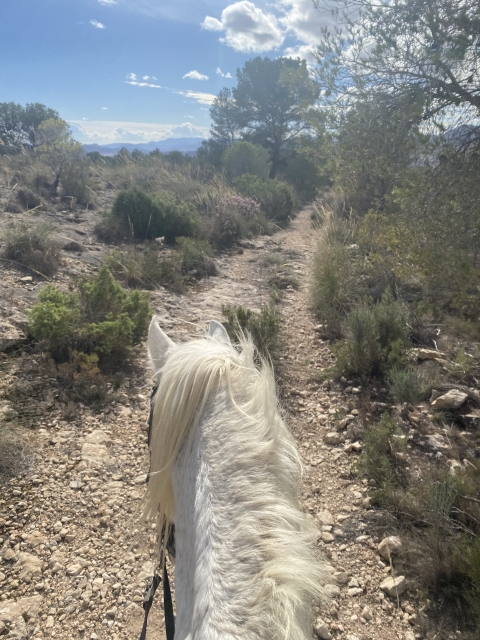 Bewertung von Ana Rincón Über Reitroute von Sierra de Sax nach Castalla 2 Stunden