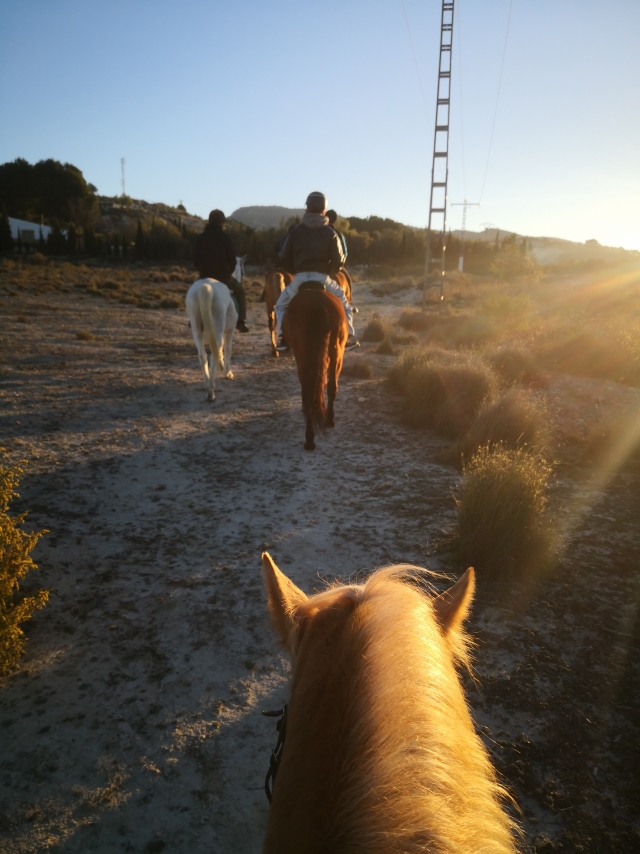Opinião de Lucía sobre Rota a cavalo de Sierra de Sax a Castalla 2h