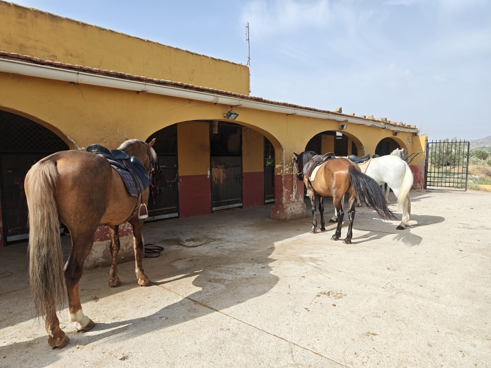 res_o-67252-rutas-a-caballo_de_annaelle-rapp_17848123552010.jpg
