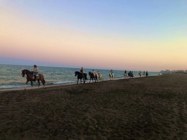 En la orilla de la playa
