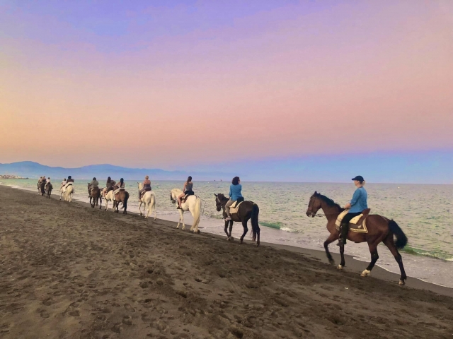 Con los caballos en la orilla al atardecer
