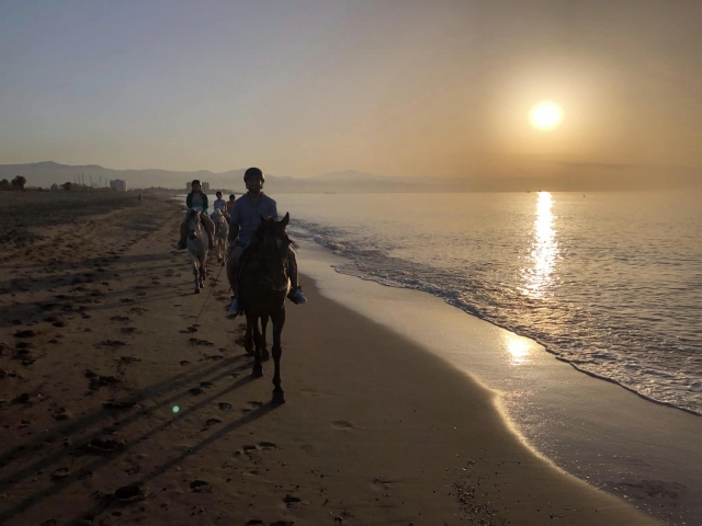 Conociendo Málaga a caballo