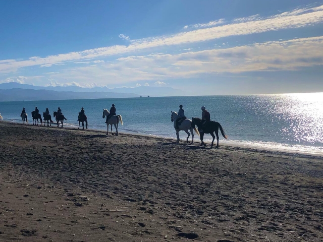 Paseo a caballo en grupo
