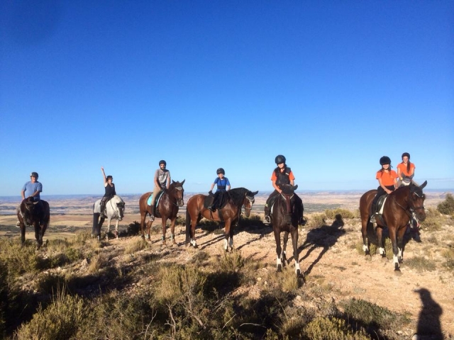 Excursiones grupales