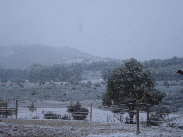 Prados nevados