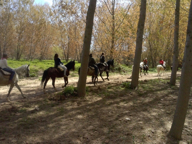 Rutas para toda la familia