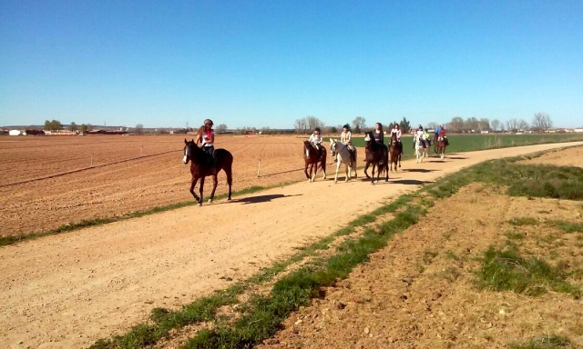 Cabalgamarras
