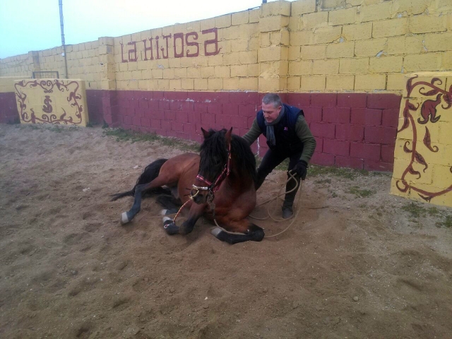 Mayorales