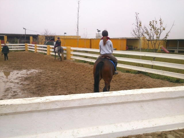 Clases de hipica