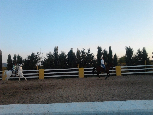 Actividades ecuestres