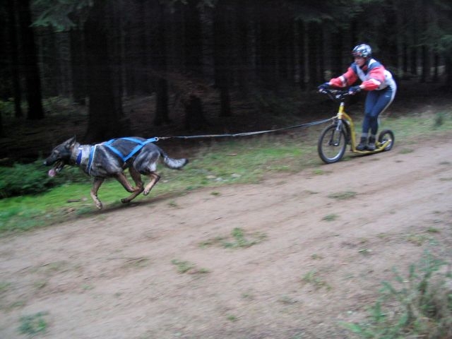 Practica mushing