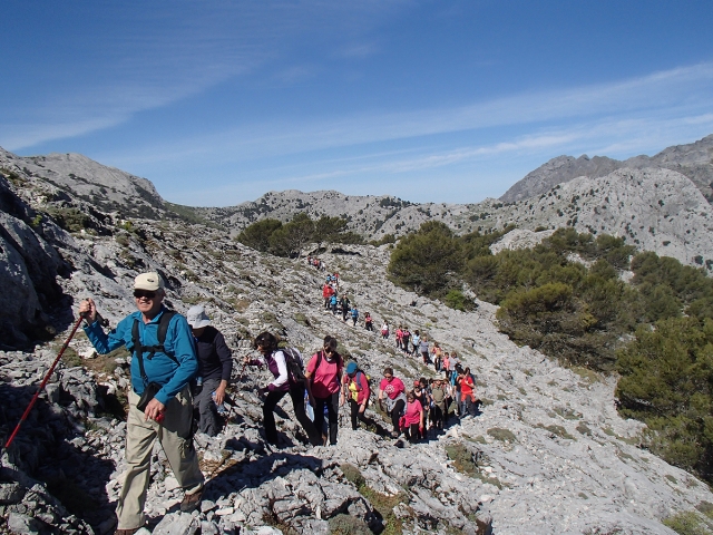 Caminando por la sierra del Endrinal