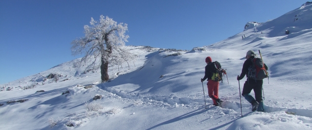 Senderismo en Parque Natural Sierra de las Nieves