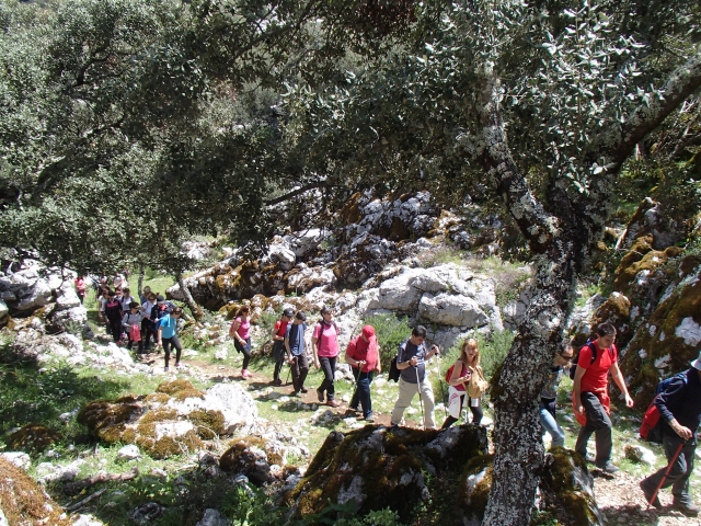Senderismo en Parque Natural Sierra de Grazalema
