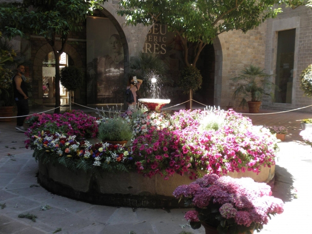  Jardim em flor 