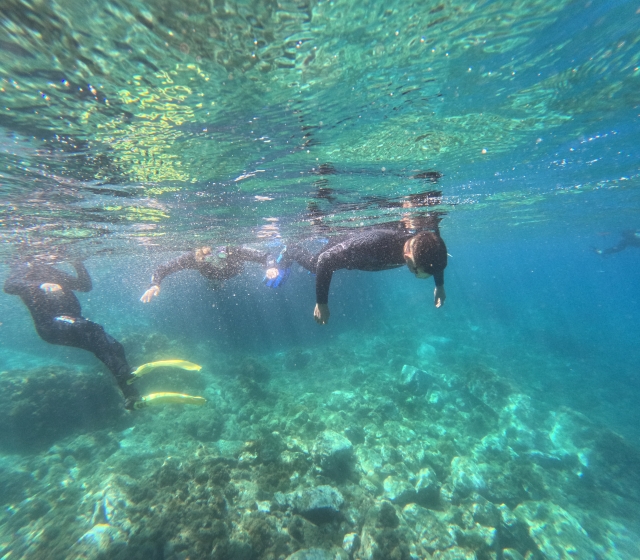 Snorkeling guiado 