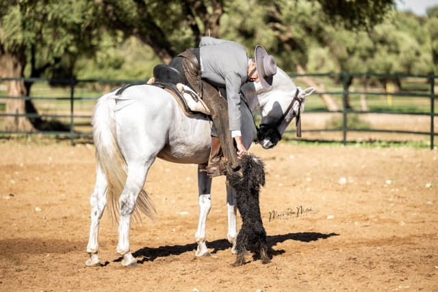 On horseback 